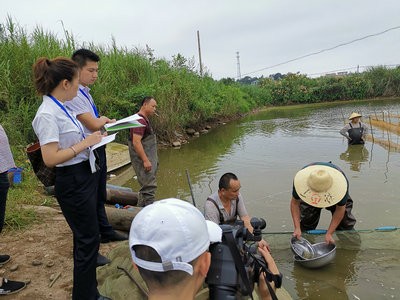 公证助力增殖放流,促进生态可持续发展