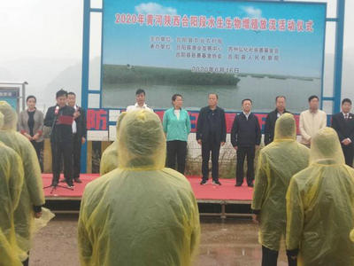 公益法律服务