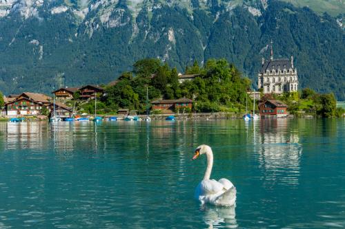 瑞士留学认证怎么做？