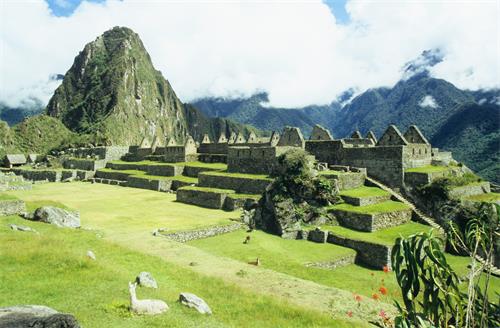 去秘鲁的无犯罪记录证明认证多少钱？
