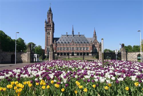 荷兰留学双认证去哪里办？